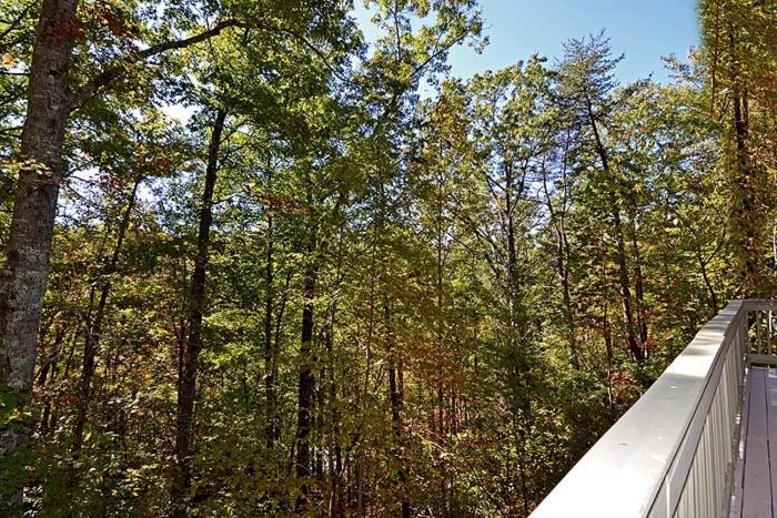 Smoky Mountain Dream Βίλα Gatlinburg Εξωτερικό φωτογραφία